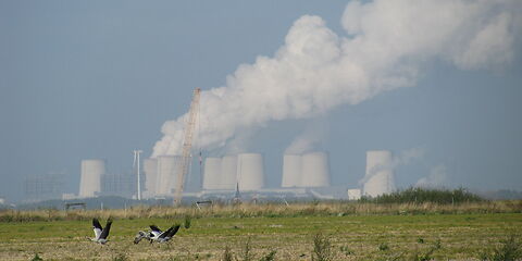 3 Kraniche beim Flugstart auf dem Feld, im Hintergrund das Kraftwerk Jänschwalde und ein Baugerät zur Falldruckverdichtung