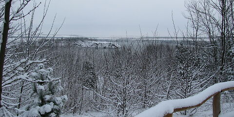 Blick auf den Klinger See von einem Weg aus, der durch einen mit Schnee bedeckten Holzzaun eingefasst ist. Vor dem See stehen verschneite kahle Bäume. In den See hinein ragt eine Landzunge.