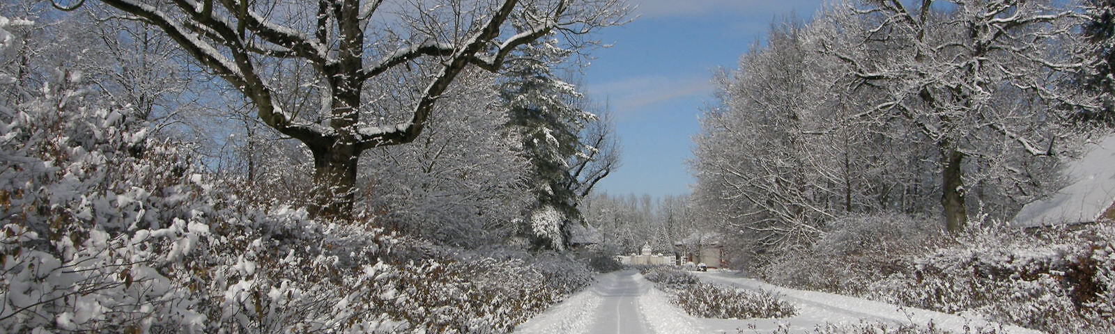 ein zugeschneiter Weg im Rosenpart des Ostdeutschen Rosengartens, links und rechts stehen mit Schnee bedeckte Bäume