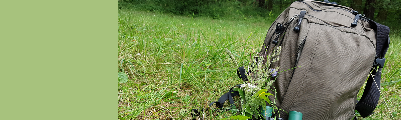 Wanderrucksack im Gras, Fernglas liegt davor